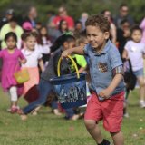 This young man seems intent on his Easter egg quest at Saturday's annual Lemoore Easter Egg Hunt at the city's sports complex.